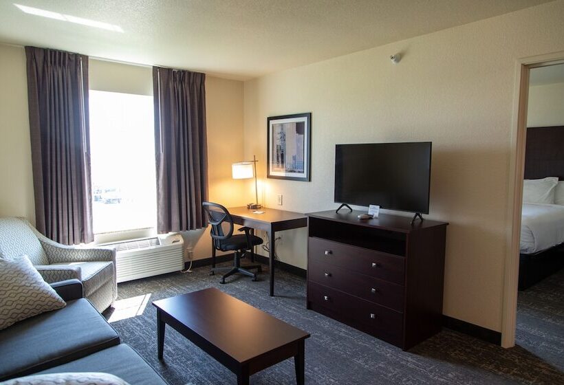 فندق Cobblestone Inn & Suites  Springfield