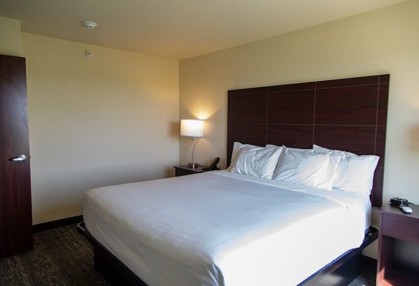 فندق Cobblestone Inn & Suites  Springfield