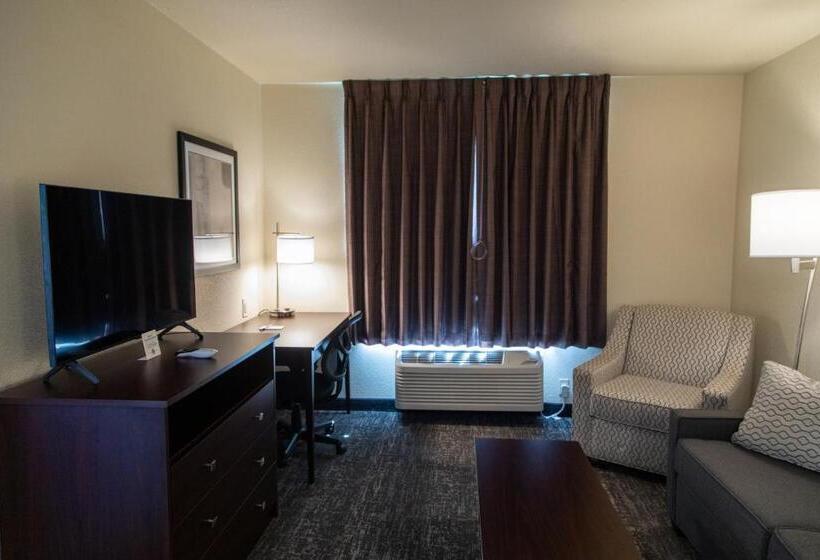 فندق Cobblestone Inn & Suites  Springfield