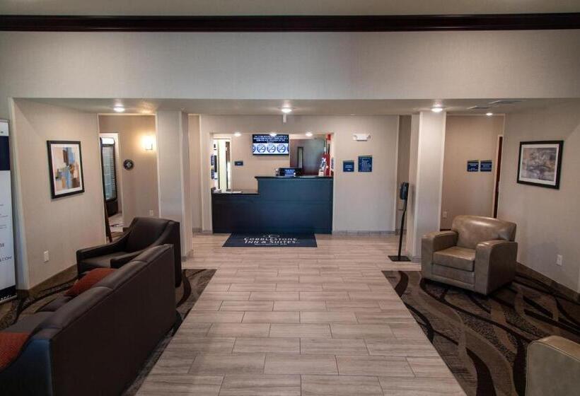 فندق Cobblestone Inn & Suites  Springfield