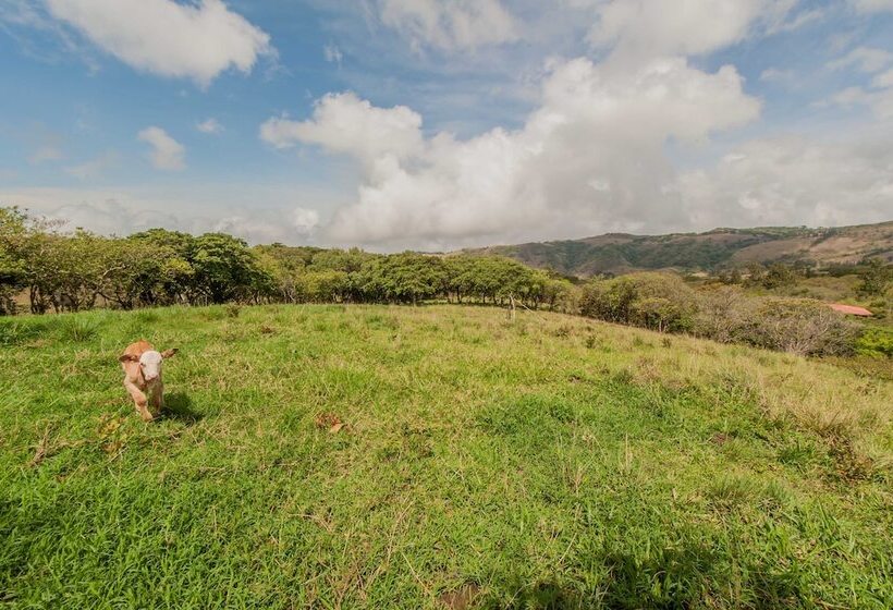 בית מלון כפרי De Cabañas Valle Campanas