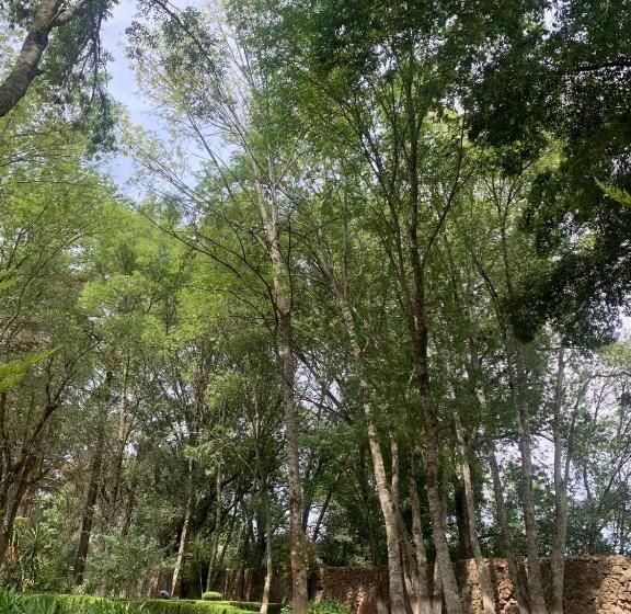 فندق Hacienda Venta De Guadalupe