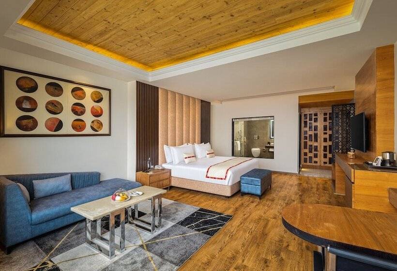 酒店 Justa Cliffend Resort & Spa Mashobra