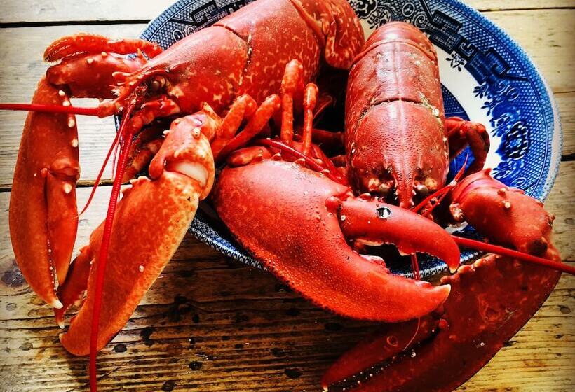 فندق Kirkapol Beach Pod   Flow