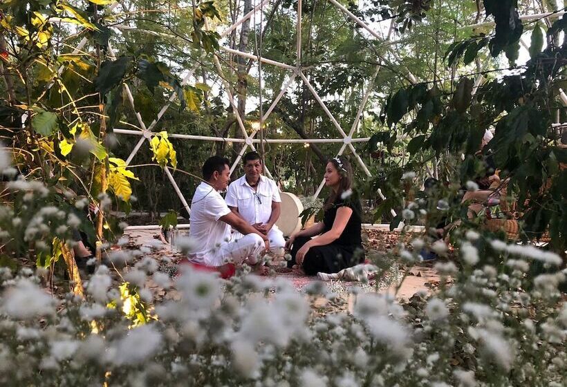 فندق La Casa De Los árboles