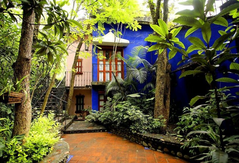 فندق La Casa De Los árboles