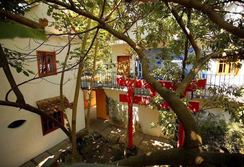 فندق La Casa De Los árboles