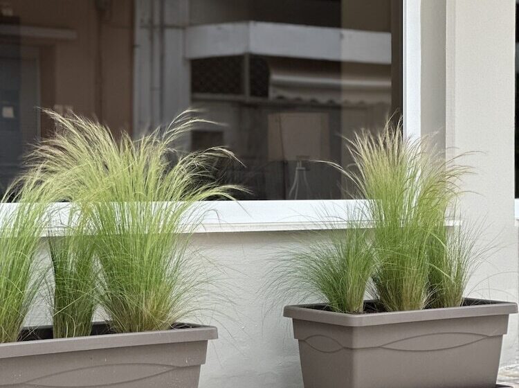 בית מלון כפרי Lia Studios