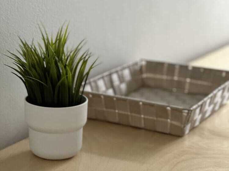 בית מלון כפרי Lia Studios