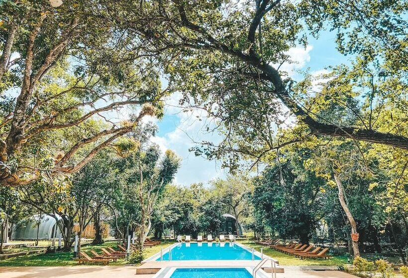 Отель Nivadoo Resort Sigiriya