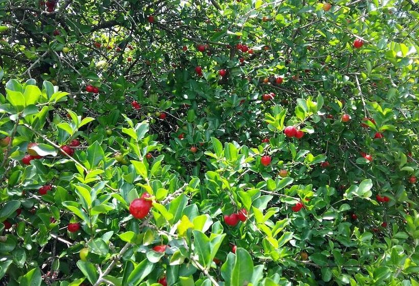 Отель Rancho Litoral Búzios