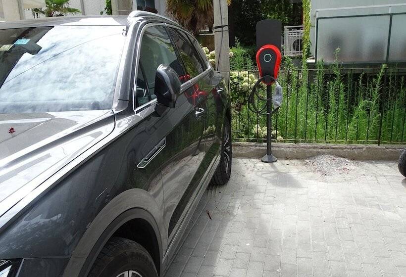 Отель Riva Palace