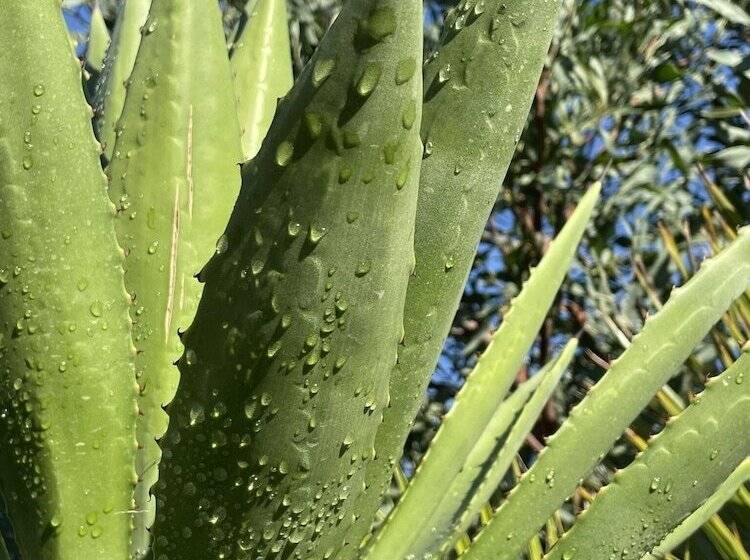 호텔 Rustic Hill Private Pool Suites