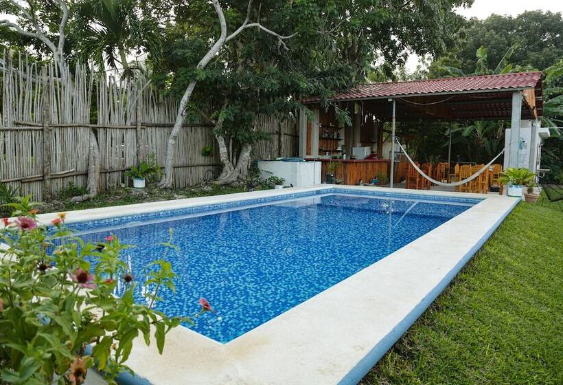 فندق Seven Blue House Village & Lodge