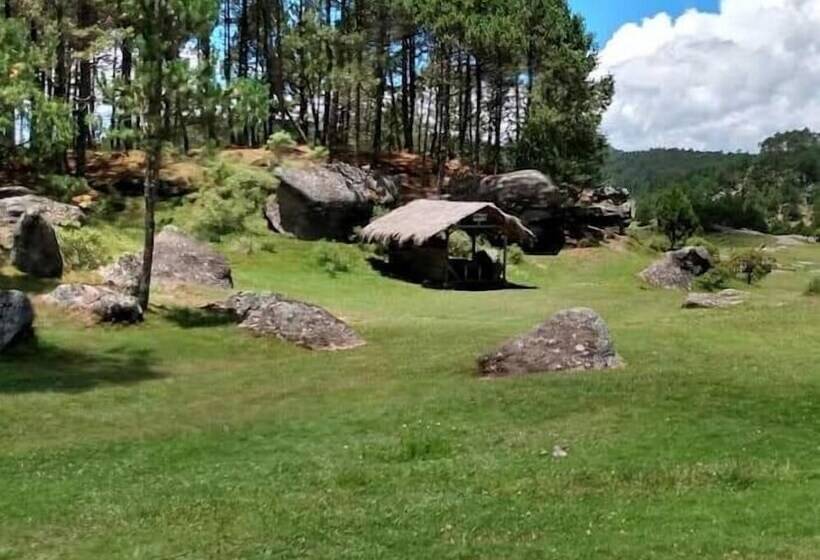 酒店 & Suites Dayan