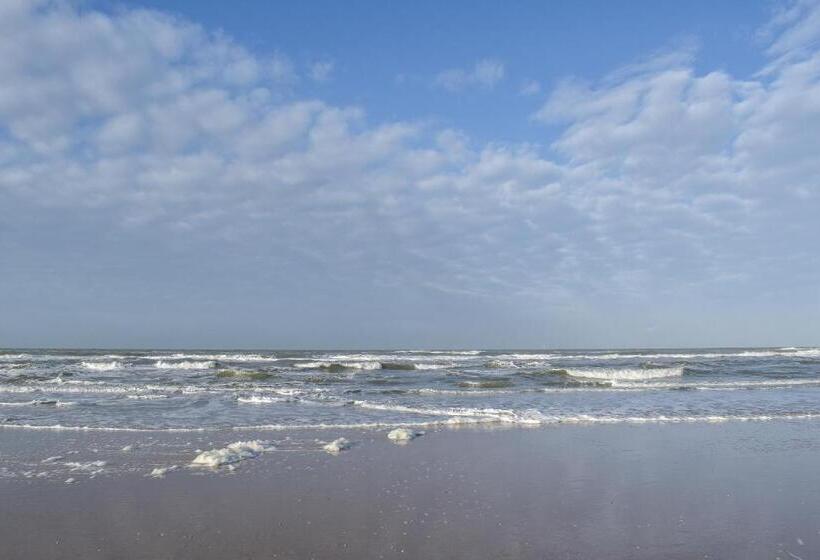 酒店 Strandhuisjes Zoomers Aan Zee