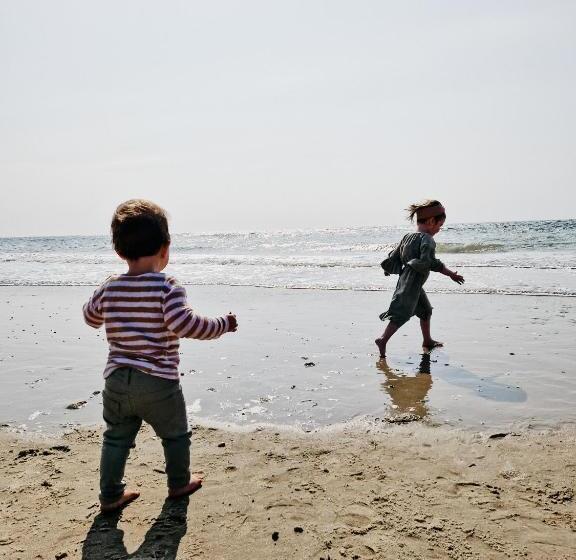 酒店 Strandhuisjes Zoomers Aan Zee