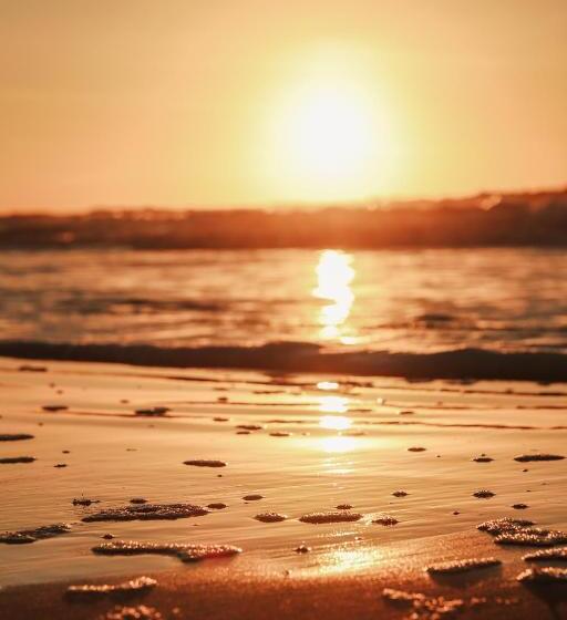 酒店 Strandhuisjes Zoomers Aan Zee
