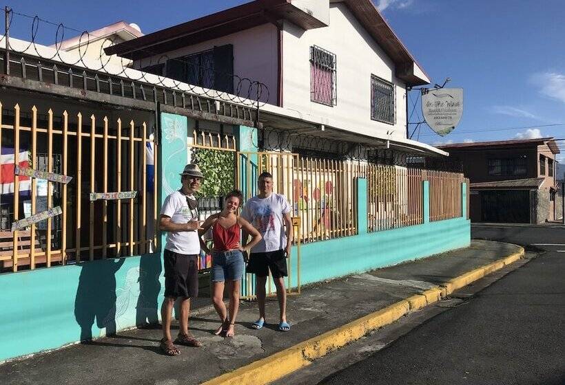 In The Wind Hostel And Guesthouse