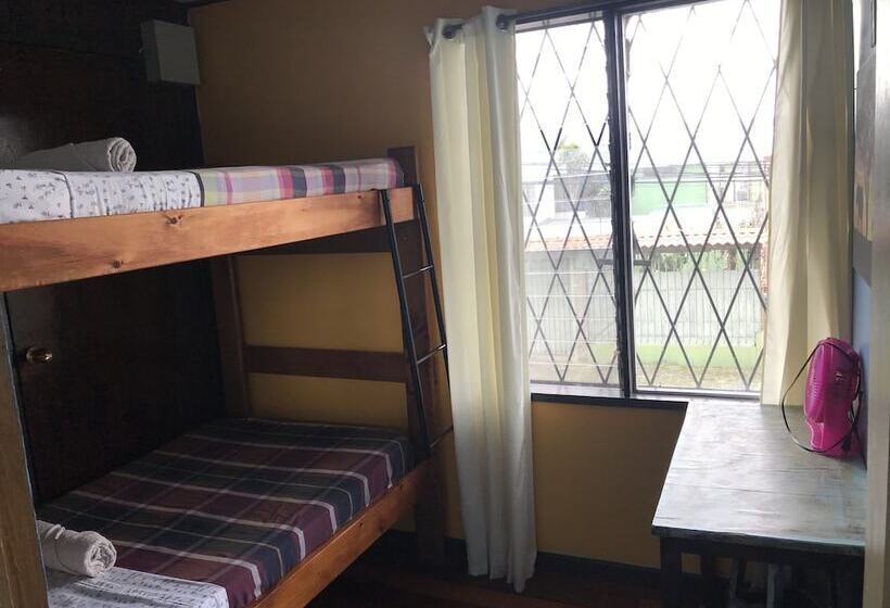 In The Wind Hostel And Guesthouse