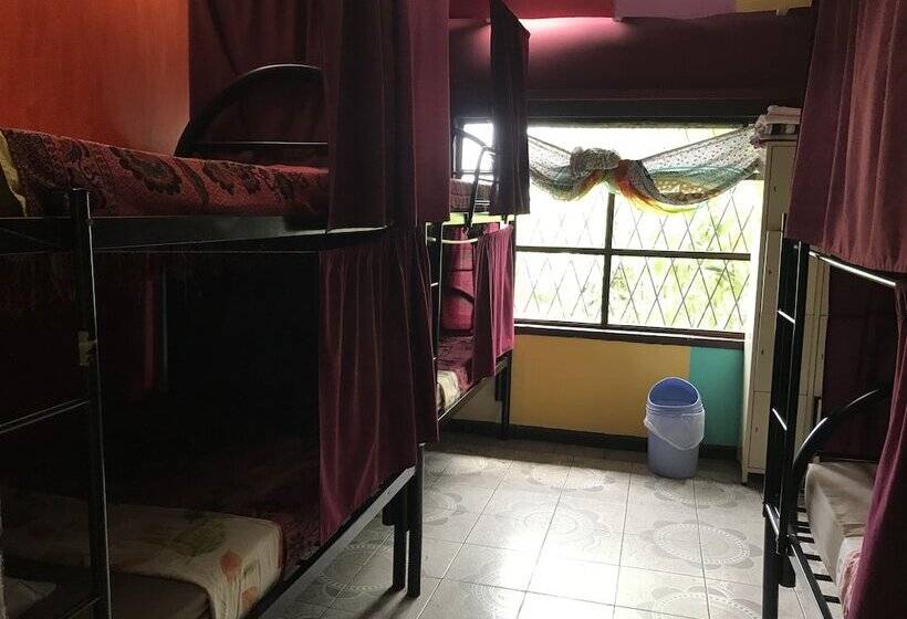 In The Wind Hostel And Guesthouse