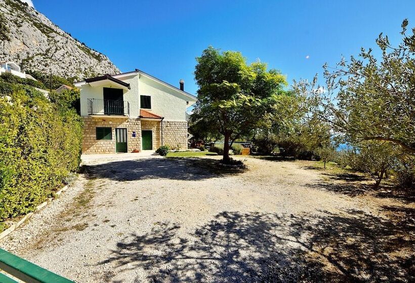 Ivo   With Pool   A1