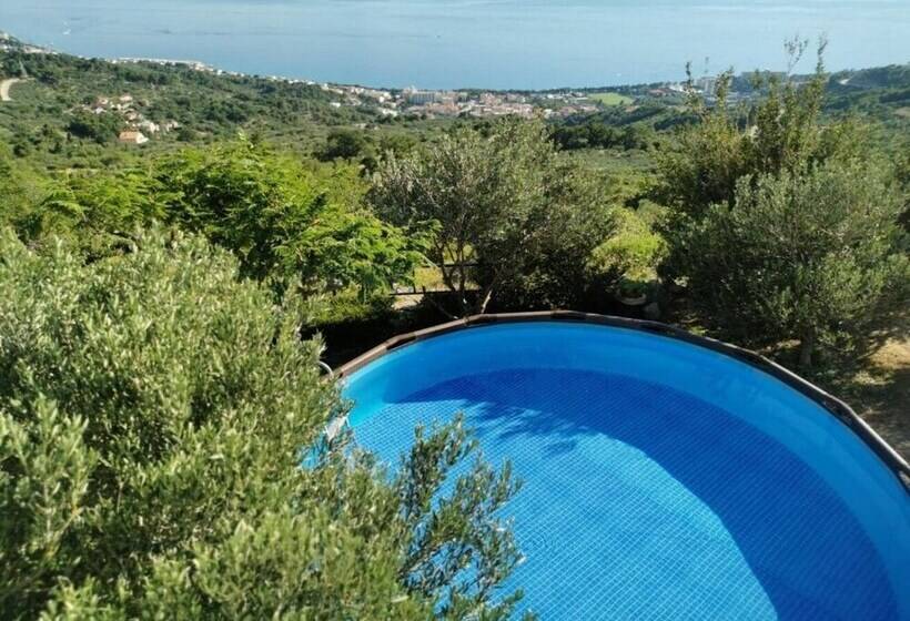 Ivo   With Pool   A1