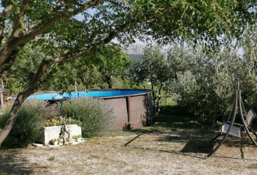 Ivo   With Pool   A1