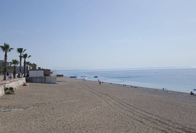 Mango Suite Apartment