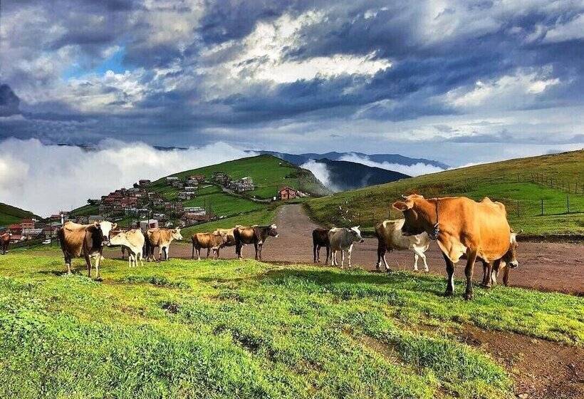 Migroras Otel & Restaurant Karestel Yaylasi