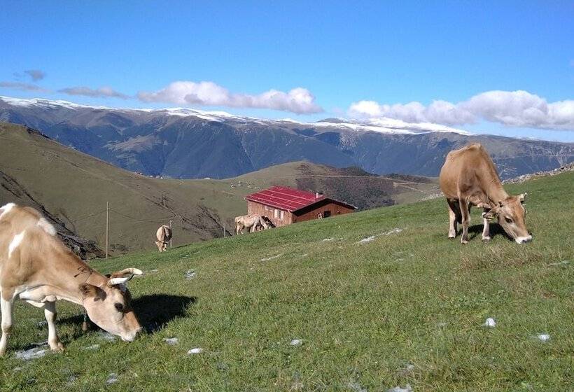 Migroras Otel & Restaurant Karestel Yaylasi