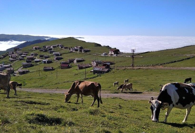 Migroras Otel & Restaurant Karestel Yaylasi
