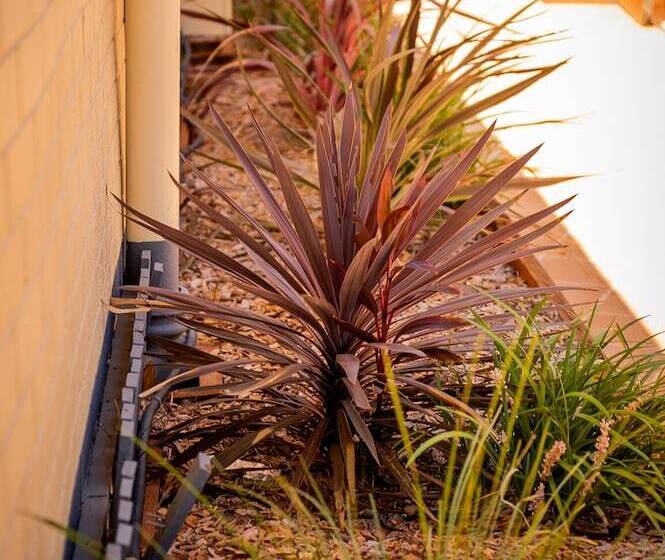 مُتل Pete S Place Roma