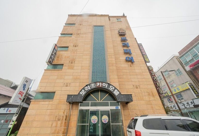 モーテル Sokcho Premier