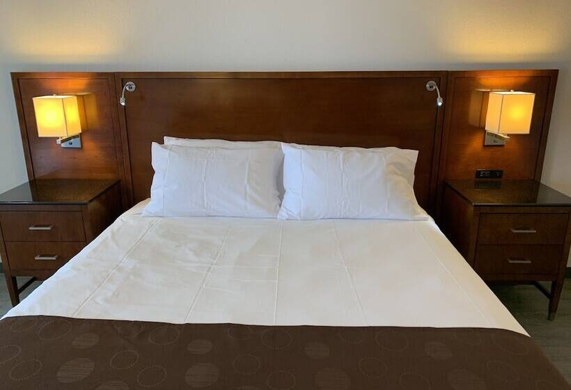 فندق على الطريق The Branson Welcome Inn   Country Blvd