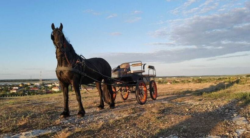 Пансион 5 Chirpici - Small Traditional Resort