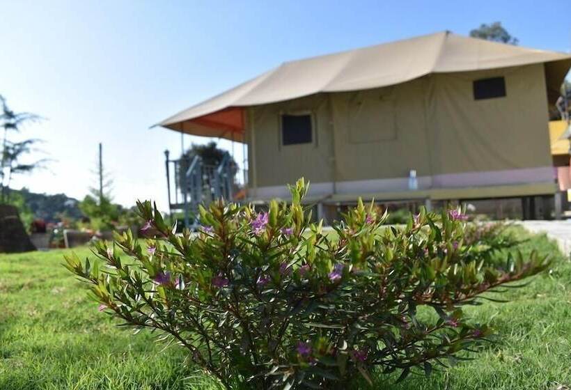 بنسيون Camp Cedar