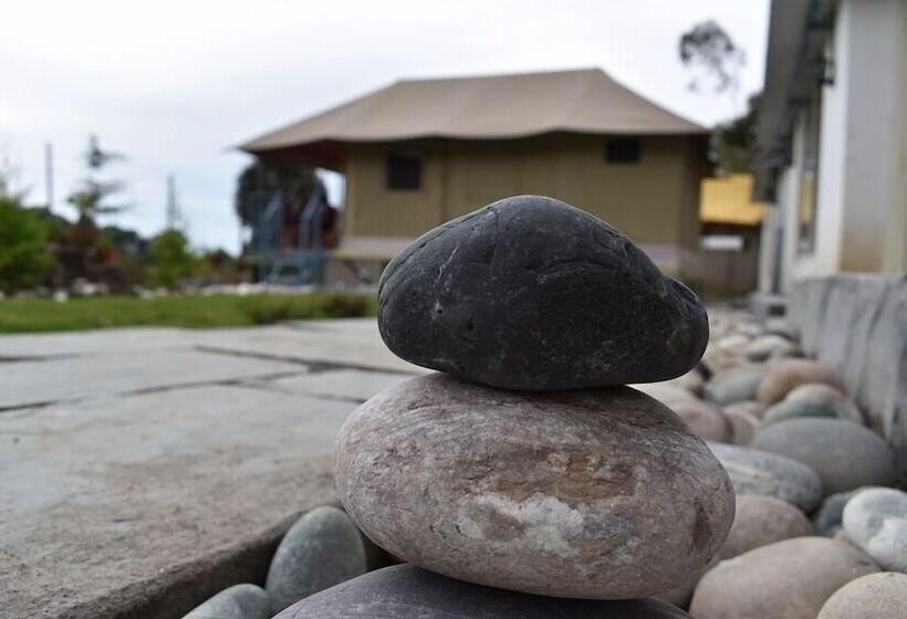 بنسيون Camp Cedar