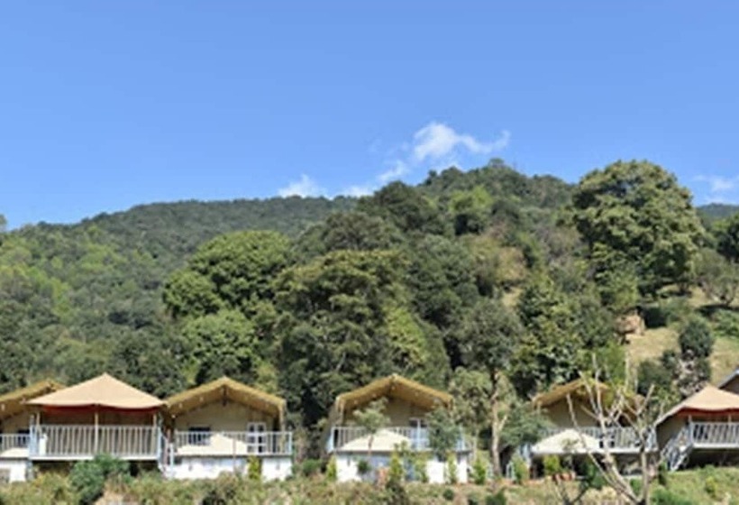 بنسيون Camp Cedar