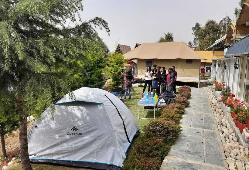 بنسيون Camp Cedar