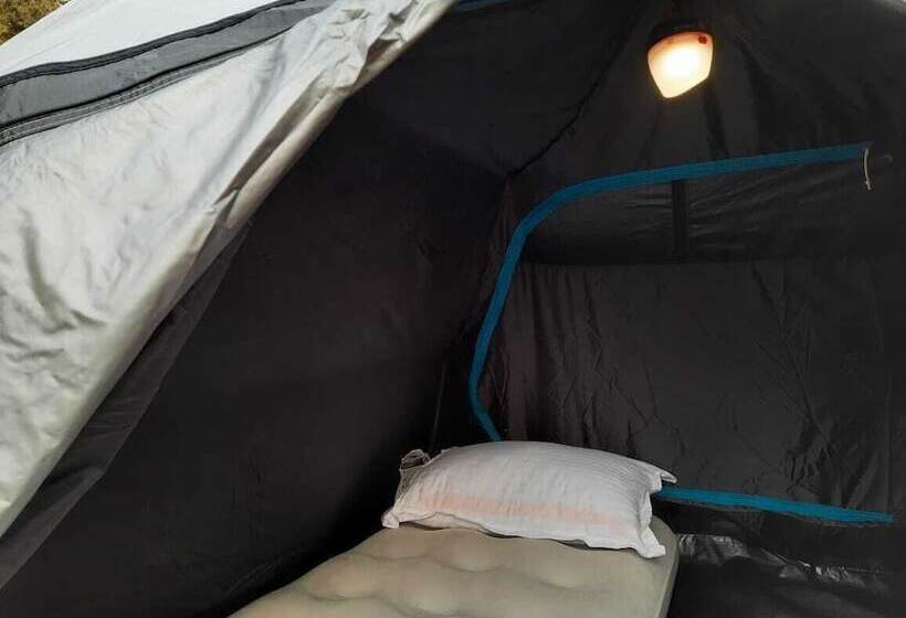 بنسيون Camp Cedar