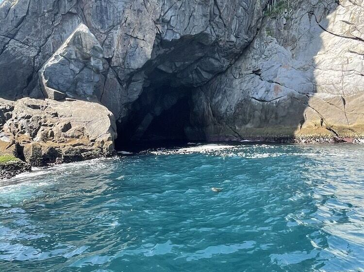 Пансион Guest House Da Torre