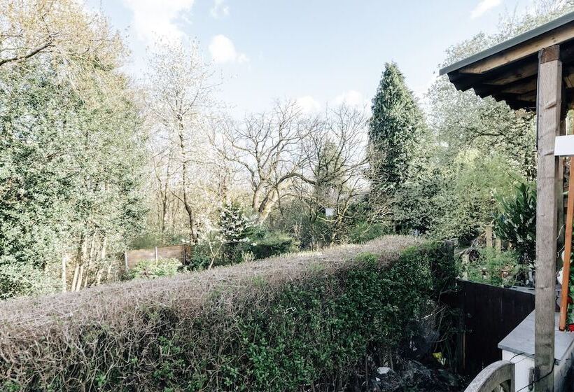 膳宿费 Luxury Town House