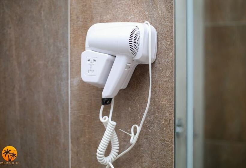 פנסיון Palm Suites Apartment Suite