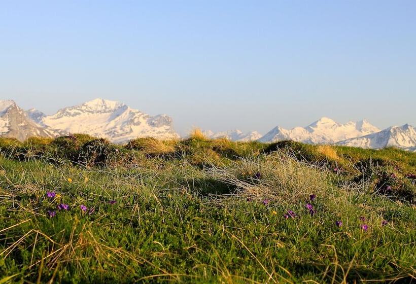 펜션 Pensiun Laresch