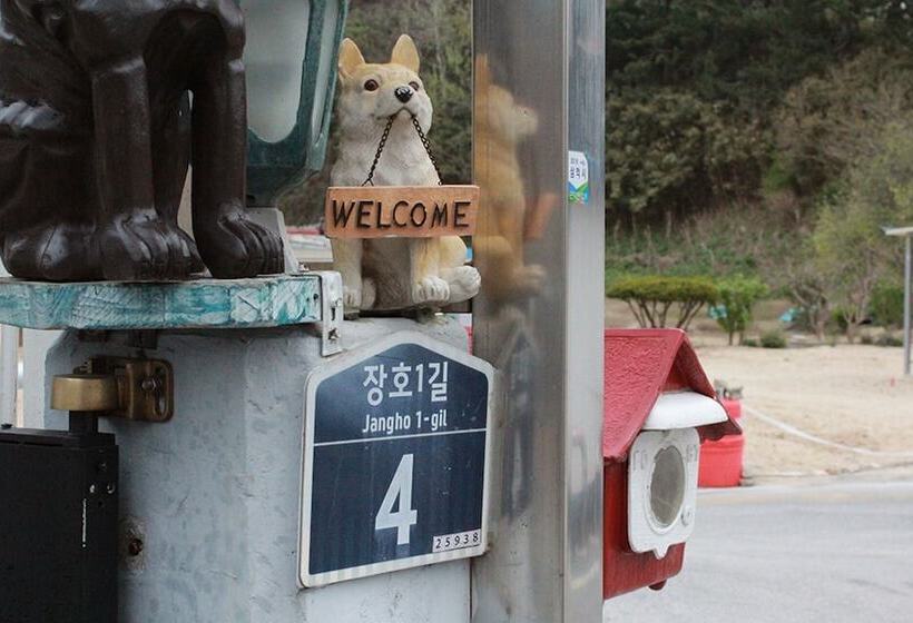 ペンション Samcheok Come To Play Guest House