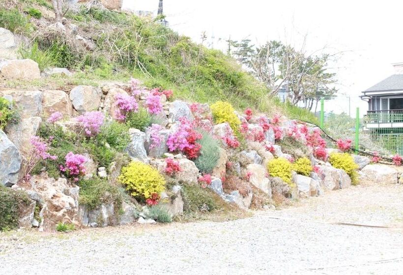 ペンション Samcheok Come To Play Guest House