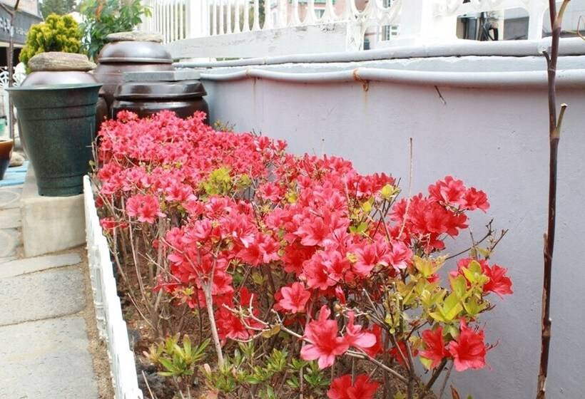 ペンション Samcheok Come To Play Guest House