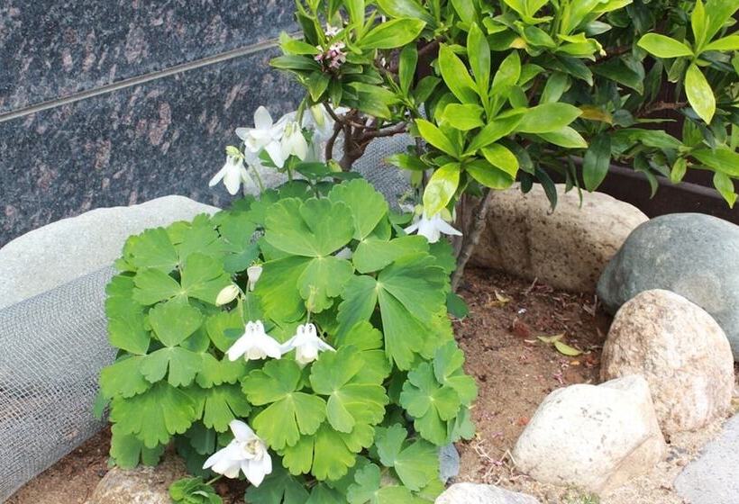 ペンション Samcheok Come To Play Guest House