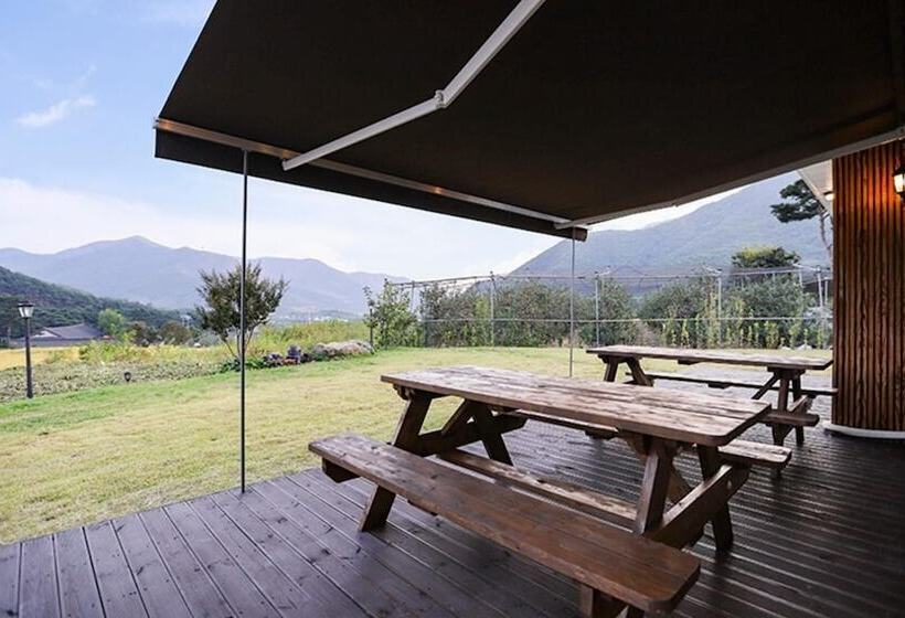 Pohang Haneulbyeoliyagi Pension